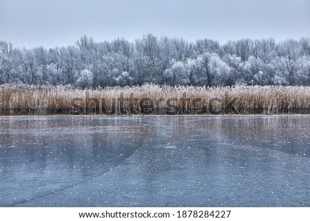 Similar – Image, Stock Photo quiet winter landscape