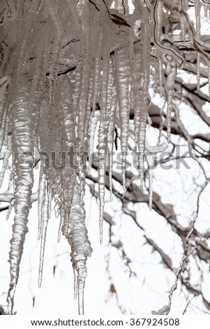 Similar – Foto Bild Winter Eiszapfen