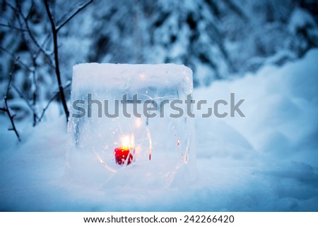 Similar – Image, Stock Photo Advent in the forest…