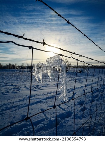 ice on barbwire fence in winter