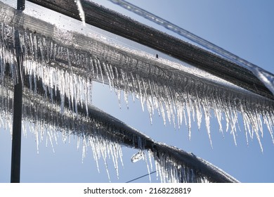 Ice On Hail Protection At Apple Farm. Frost Protection Irrigation