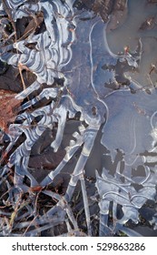 ice on the puddle