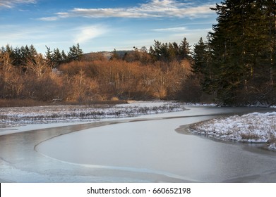 Ice On A Slough On Lummi Island. A Thin Sheet Of Ice Covers A Wetland Area On An Island In The San Juan Islands Archipelago. Fresh Snow Covers The Shoreline On This Chilly Winter Day.