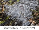 Ice on surface of small stream, with grass