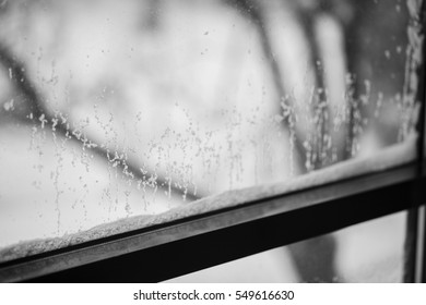Ice on window at winter