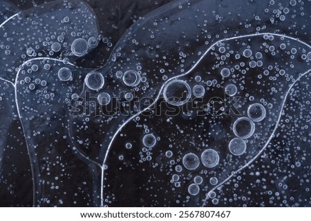 Similar – Image, Stock Photo Icy puddle Puddle Ice