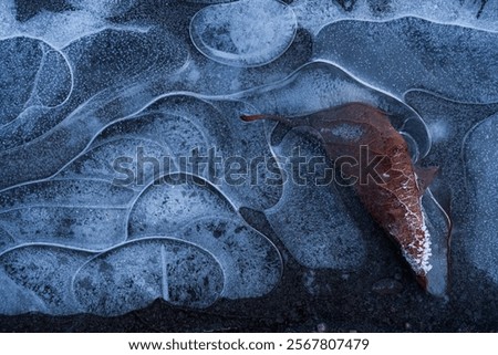 Similar – Image, Stock Photo Icy puddle Puddle Ice
