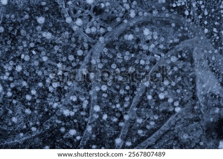 Similar – Image, Stock Photo Icy puddle Puddle Ice