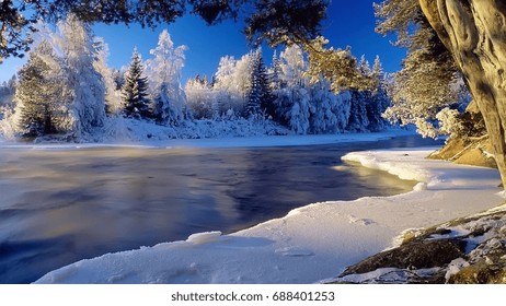 Ice River Current Trees Hoarfrost Coast