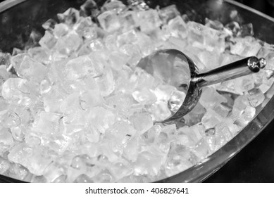 Ice With Scoop In Ice Bucket, Preparation Of Ice In A Bar For Event Party