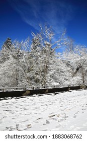 Ice And Snow Covered Trees Along The Blue Ridge Parkway In North Carolina.