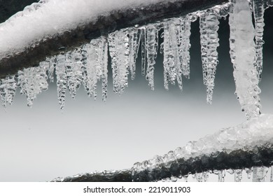 Ice Stalactites On A Branch In Winter