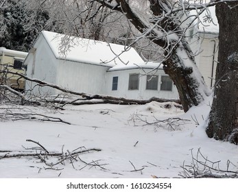  Ice Storm Damage To The Trees                              