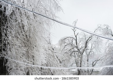 Ice storm in Vladivostok, Russia. November 2020. Frozen tree branches. Electricity accident.