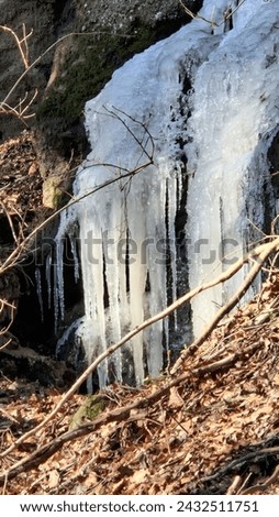 ice waterfall outdoor trees nature