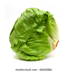 Iceberg Lettuce Isolated On White