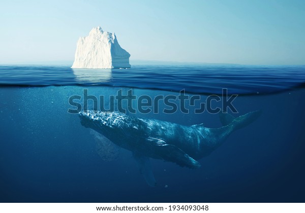 Iceberg in the ocean under water with a whale.\
Wild life at sea. A beautiful whale swims underwater with an\
iceberg. Global warming,\
concept