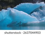 Iceberg in the Tracy Arm fjord in the Boundary Ranges of Alaska, United States  