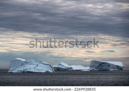 Icebergs in Disko Bay a bay in the central part of the west coast of Greenland