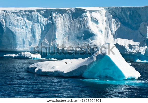 Icebergs floating in the Antarctic Sound,\
Antarctic Peninsula