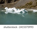 Icebergs floating in Upper Grinnell Lake in Glacier National Park montana on a beautiful afternoon.