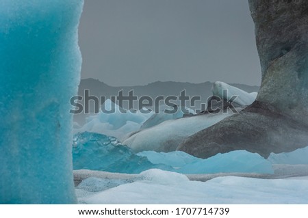 Similar – Island | Vögel auf einem Eisberg in einer Gletscherlagune