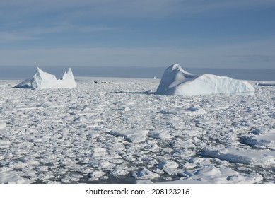 Icebergs In The Southern Ocean