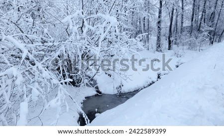 Ice-bound river among snowdrifts and snow-covered trees.