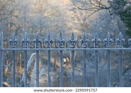 Ice-covered fleur-de-lys fence above the River Kelvin in the winter