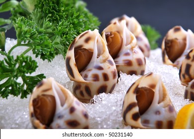 Iced Conch Meat