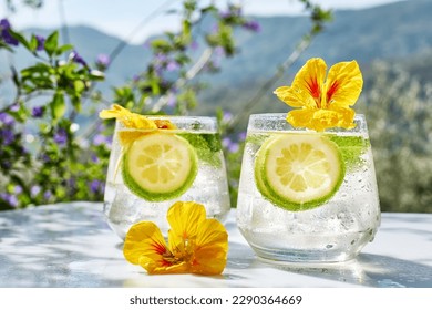 Iced lemonade with edible nasturtium flowers, lime and mint leaves. Refreshing summer drink. Healthy organic summer soda drink. Detox water. Diet unalcolic coctail. - Shutterstock ID 2290364669