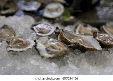 Iced Oysters In New Orleans French Market