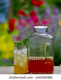 Iced Sun Tea In A Mason Jar With The Background Of The Roses Bokeh