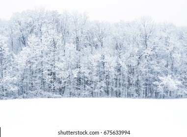 1,564,392 Ice trees Images, Stock Photos & Vectors | Shutterstock