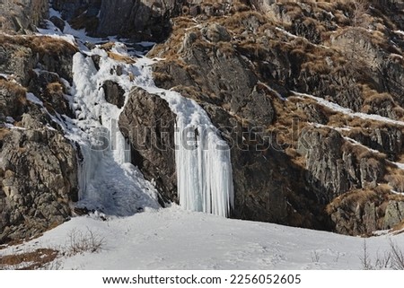 Iced waterfall in the Salarno valley.  Saviore dell'Adamello, Province of Brescia, Italy