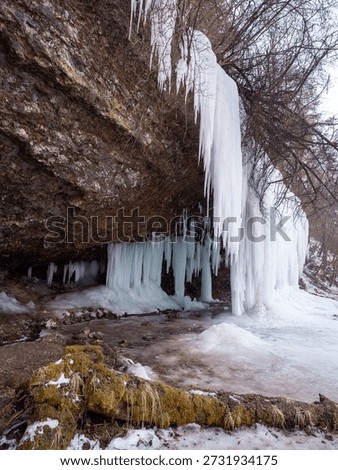 Icefall with massive ice columns and icicles under a limestone cliff at Šikľavá skala near Matejovce nad Hornádom, Slovak Paradise National Park, Slovakia.