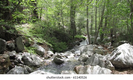 Icehouse Canyon