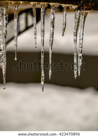 Iceicle
