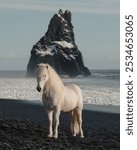 Iceland Black Sand Beach with Majestic White Horse