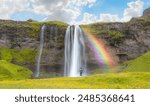 Iceland Blooming Icelandic Purple Lupin Flower Field - Amazing Seljalandsfoss waterfall in Iceland