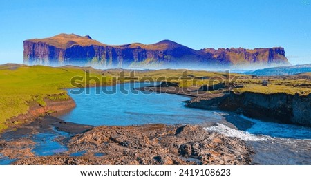 Iceland blooming Icelandic purple lupin flower field,  Cornered (angular) mountains formations in the background - Iceland