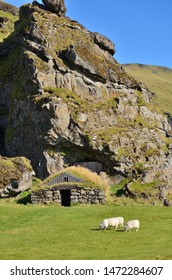 Iceland Elf House With Sheep Grazing At Base Of Hill