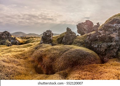 Iceland Landscape With Moss And Rock. Lava Rocks And Evening Blue Sky In Background.