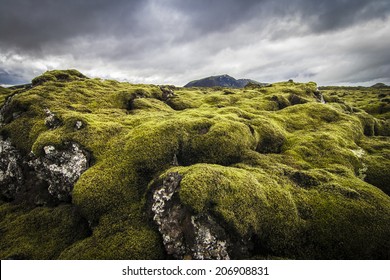 Iceland Lava Field