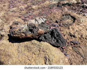 Iceland Lava Field Outdoor Tourist Color Macro Stone Textured