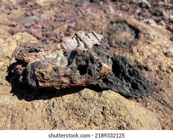 Iceland Lava Field Outdoor Tourist Color Macro Stone Textured