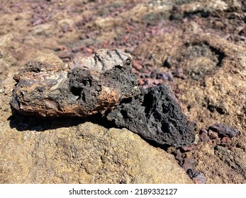 Iceland Lava Field Outdoor Tourist Color Macro Stone Textured