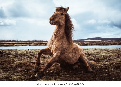 River Horse Images Stock Photos Vectors Shutterstock