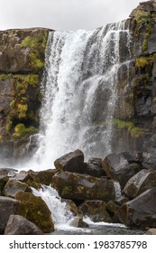 Icelandic Waterfall At Thingvellir (Þingvellir), Flowing Over Mossy Rocks