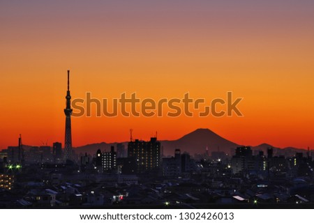 画像ページを表示します 画像